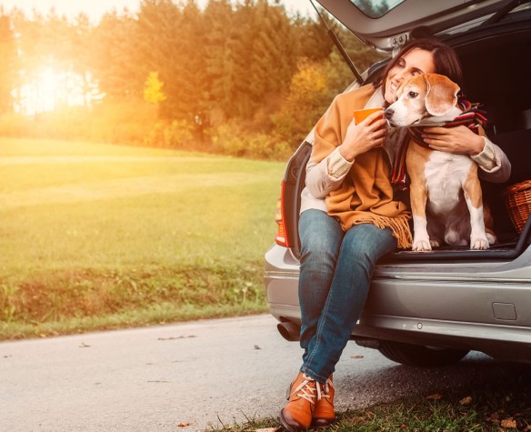 Cage De Voiture Pour Animaux De Compagnie Tente Pour Chien - Temu France