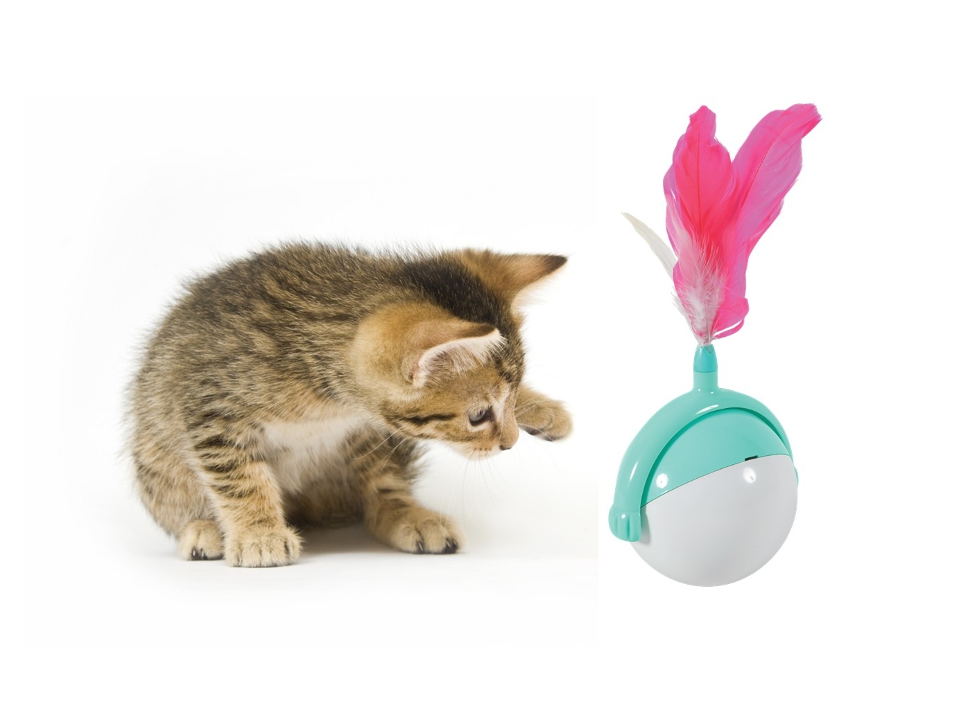 Jouets Chat Cat Player Zolux