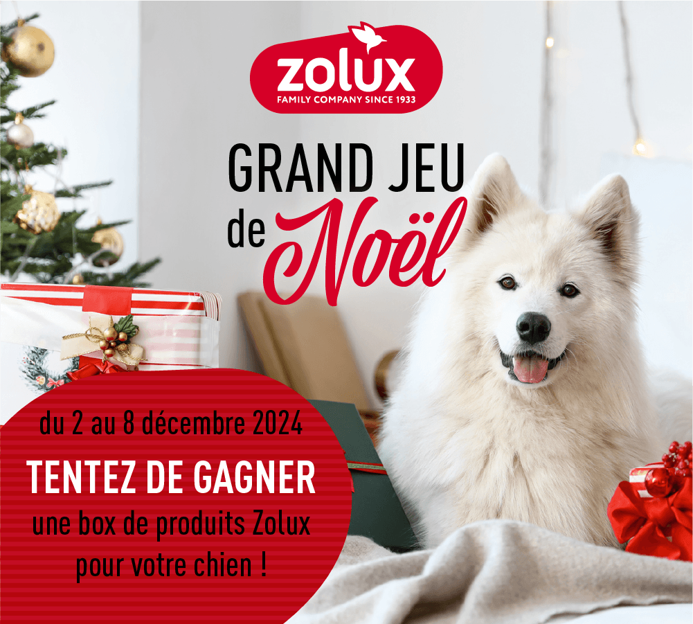 Grand Jeu de Noël - Tentez de gagner de produits Zolux pour votre chien