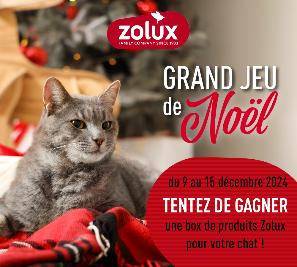 Jeu concours de Noël - Gagnez une box pour votre chat !